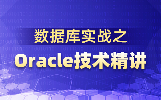 Oracle数据库视频教程