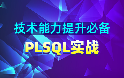 PLSQL视频教程